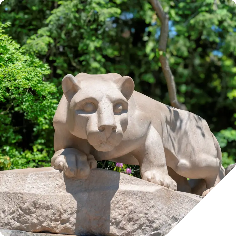 Psu img 2 (1)